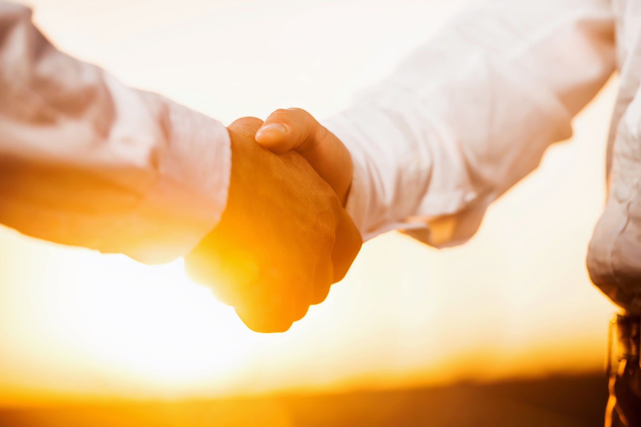 Two unrecognizable business people shaking hands at sunset.