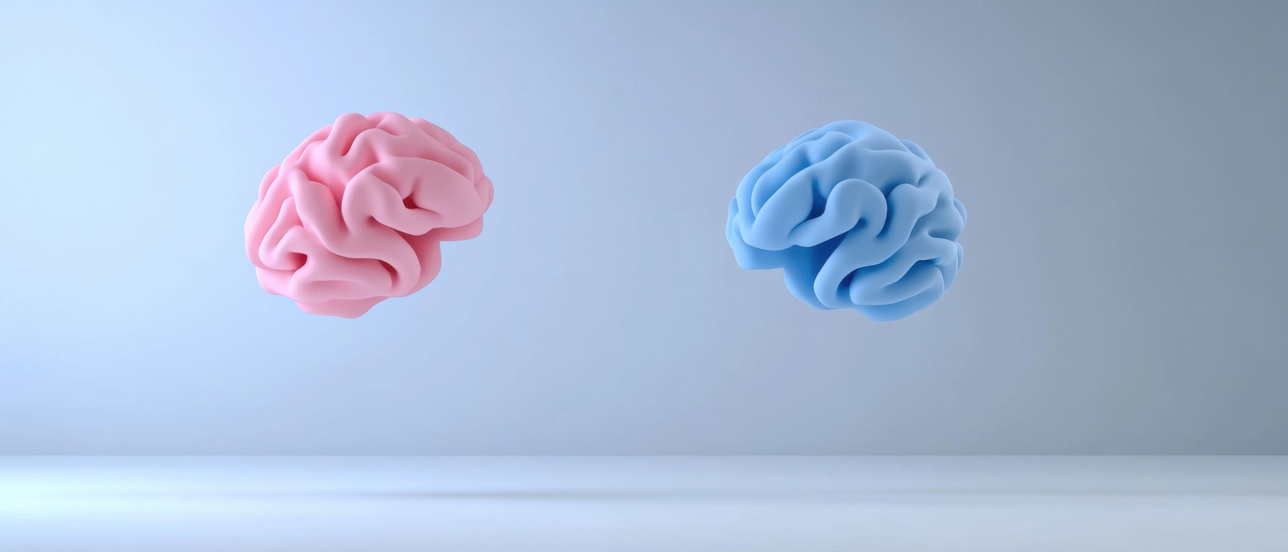 Two brains, pink and blue against a grey background