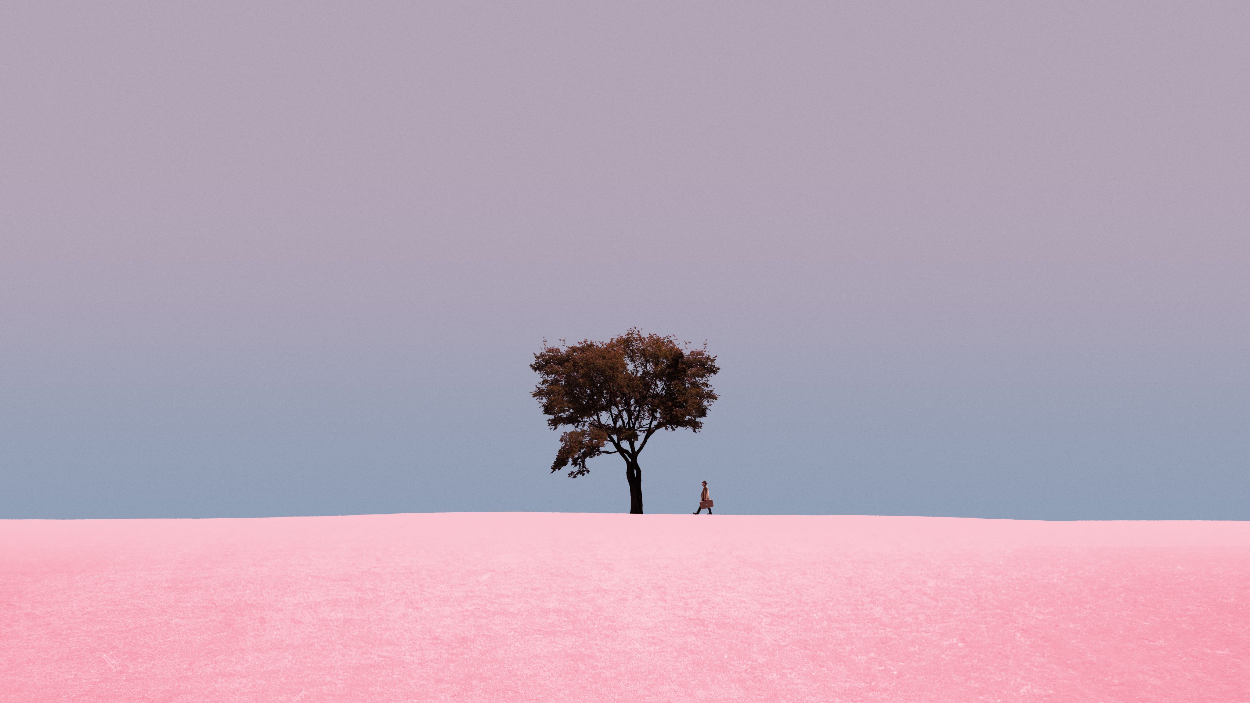 Single tree on a horizon against violet sky